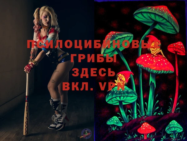 ешки Белокуриха