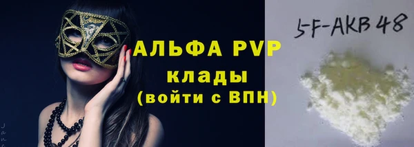 ешки Белокуриха